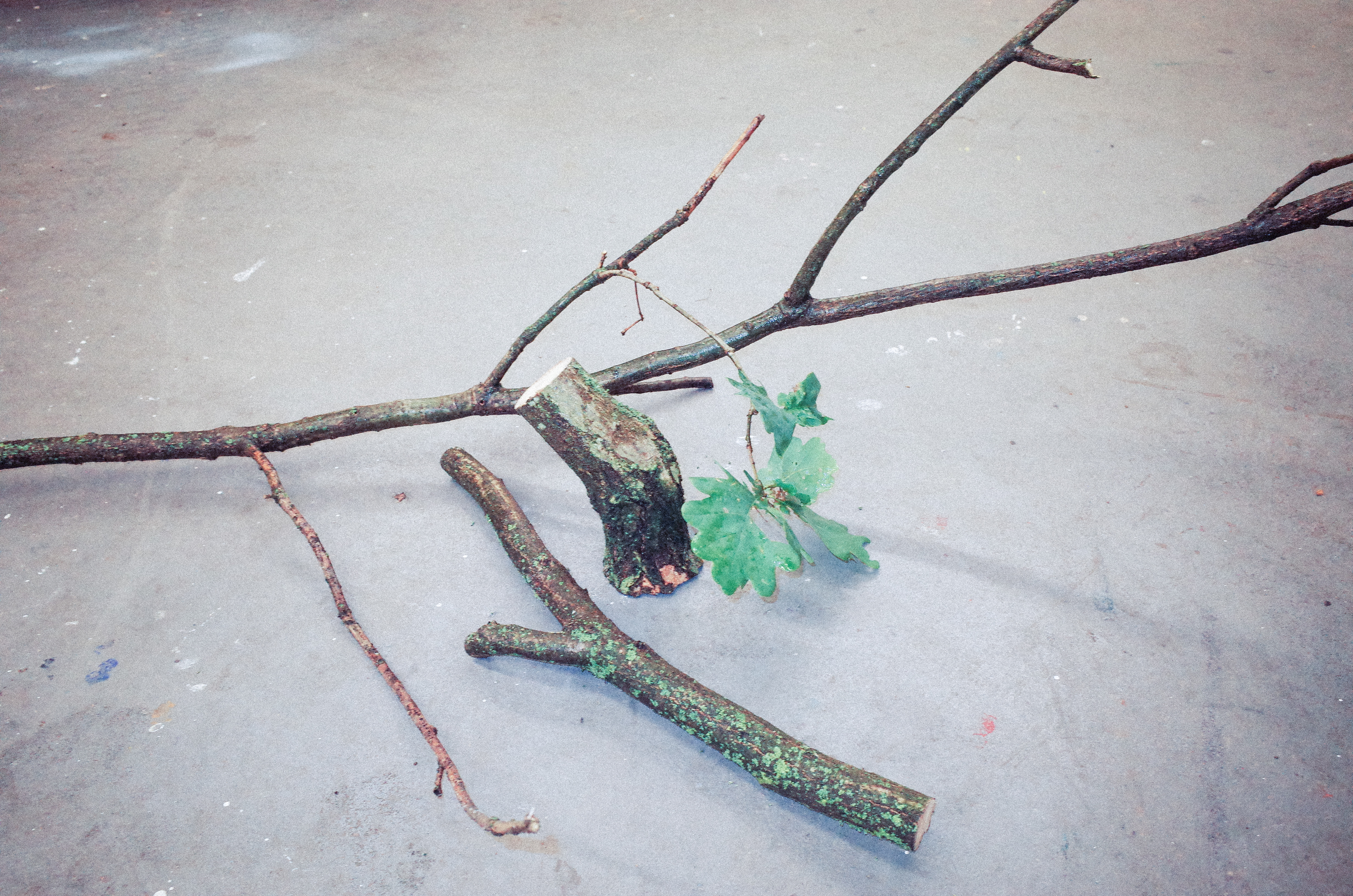 Compliant Branch multipurpose object in folded configuration